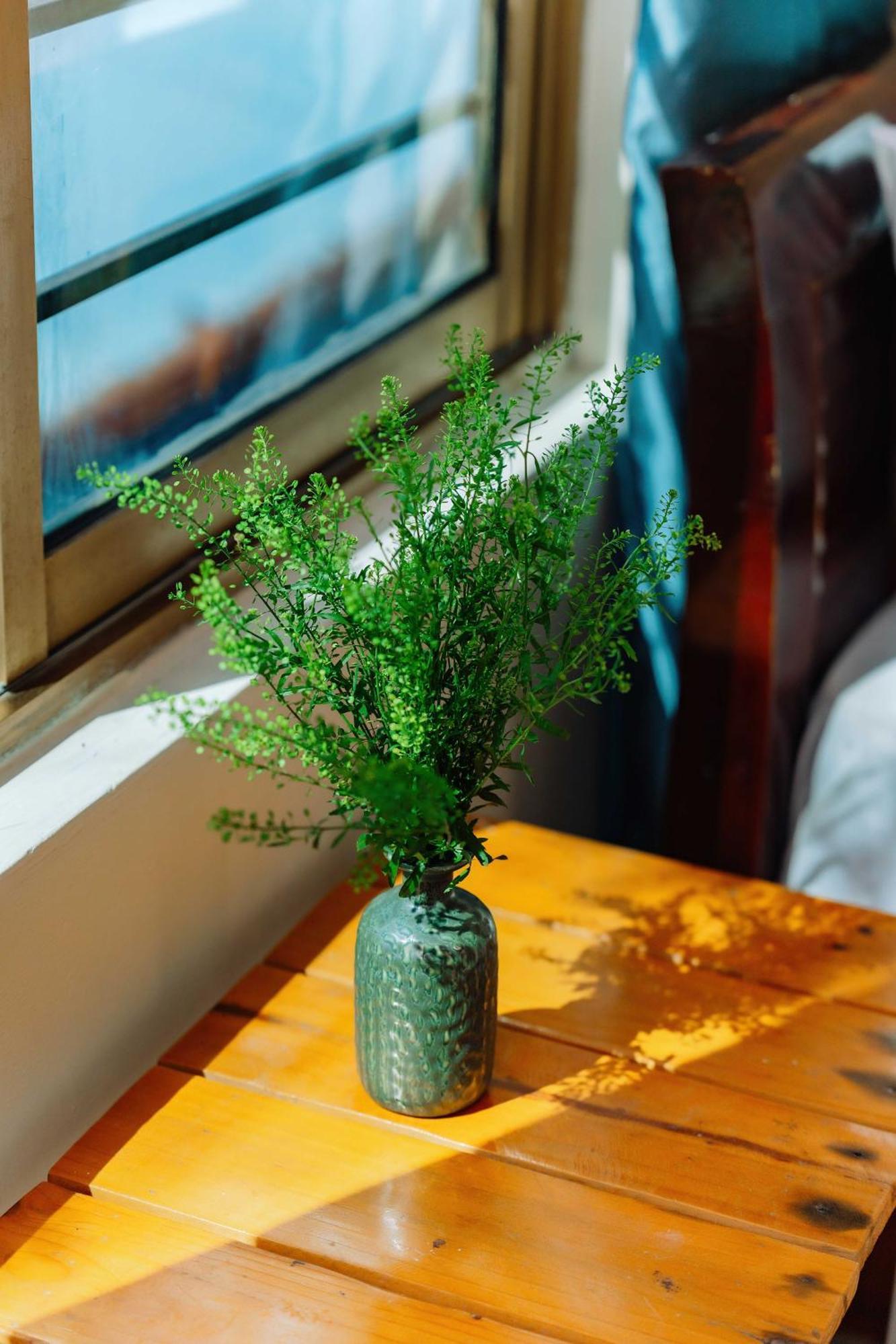 Luna'S House Hostel Chan Chau المظهر الخارجي الصورة